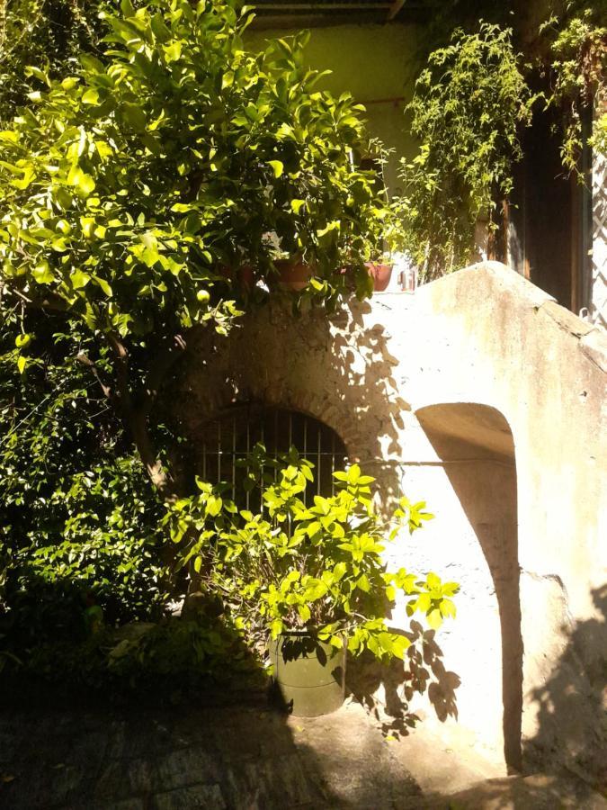 Nonna Anita Bed & Breakfast Castelveccana Bagian luar foto
