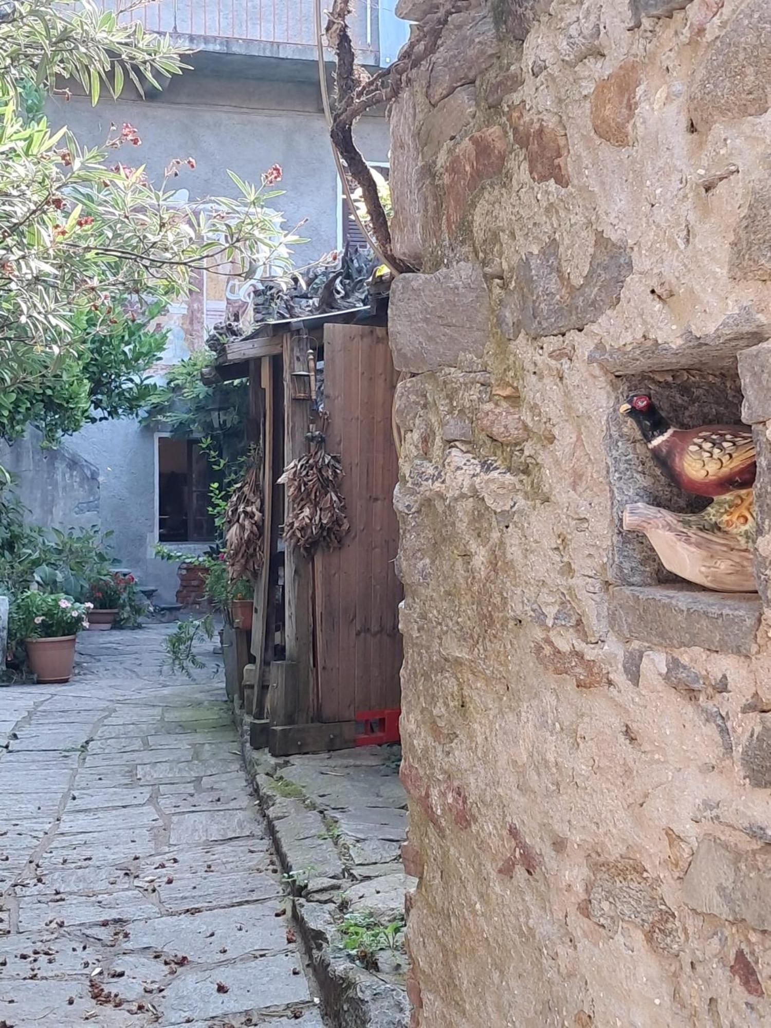 Nonna Anita Bed & Breakfast Castelveccana Bagian luar foto