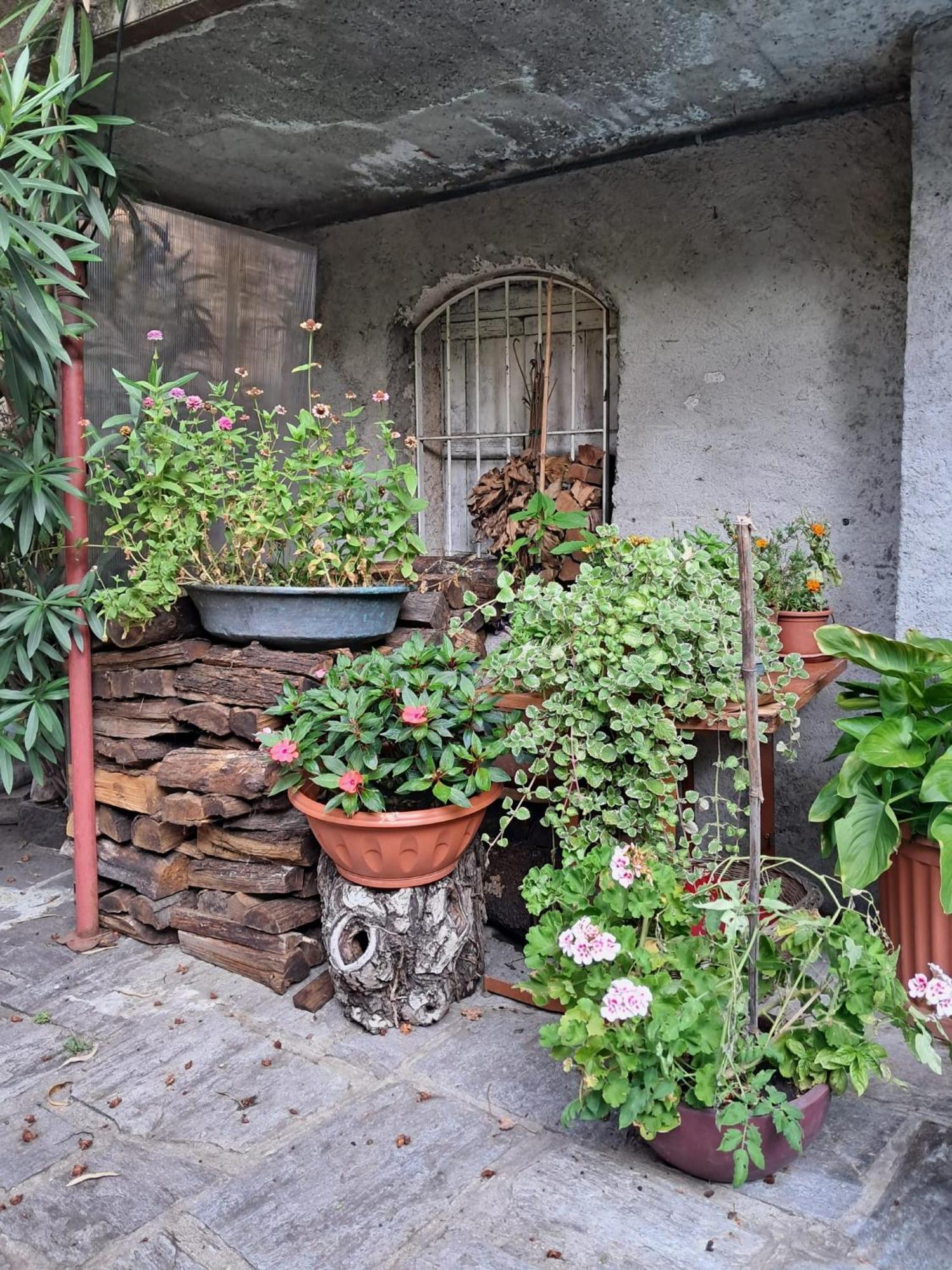 Nonna Anita Bed & Breakfast Castelveccana Bagian luar foto